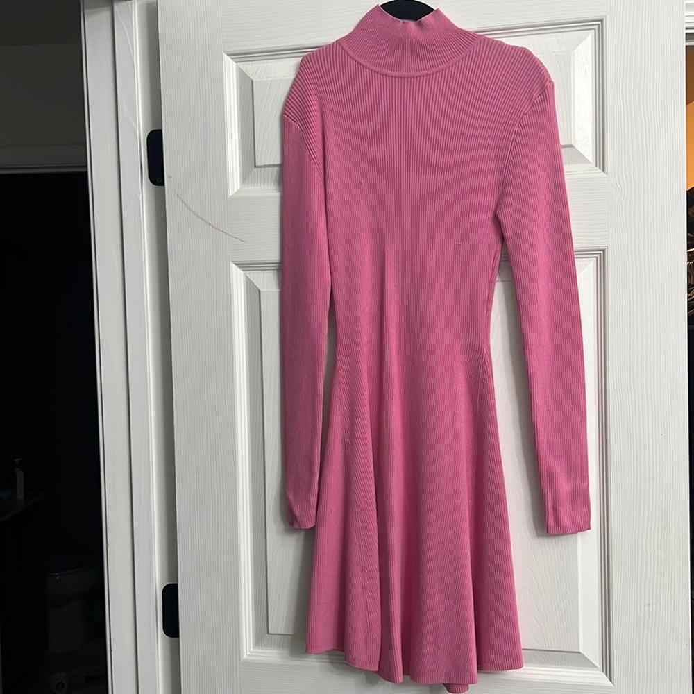 Zara Knit Dress